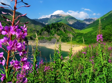 Mountainscape - pretty, grass, crystal, mountain, flowers, shore, view, waters, lake, nice, emerald, sky, greenery, beautiful, snowy, lovely, peaks, nature, green, clear, bay