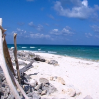 White Sand and Blue Sky