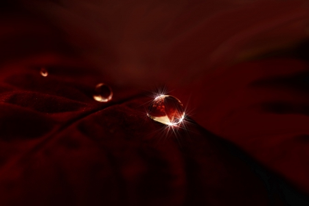 Red - drop, raindrops, nature, red, drops