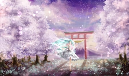 Yuki Miku - hatsune miku, blue hair, sakura, vocaloid, yuki, music, anime, singer