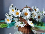 Lovely Daisies Still Life