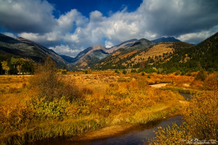 Where The River Runs Through Gold - mountains, forests, nature, river