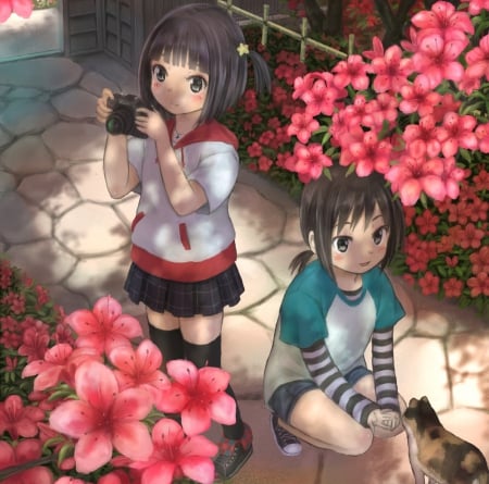 Lil' Photographer - kid, anime, anime girl, female, camera, kawaii, blossom, girl, children, flower, petals, child, short hair, hd, cute, floral