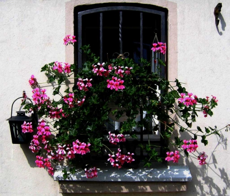 beautiful window - architecture, house, window, beautiful