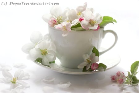 Cup & Petals