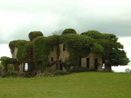 Lisheen in Ireland - green, ancient, ireland, haunting