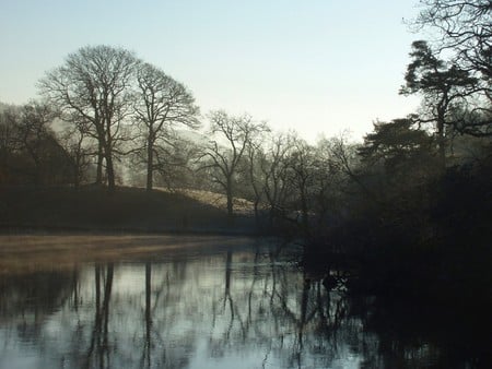 MORNING REFLEXION - trees, morning, river