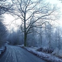 FROSTY WINTER LANE