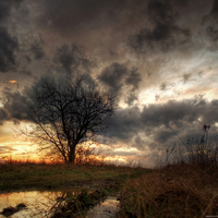 SWAMP at  SUNSET