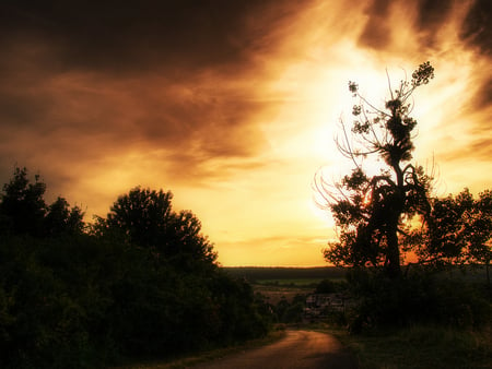 HIDDEN SUNSET - path, trees, sunset