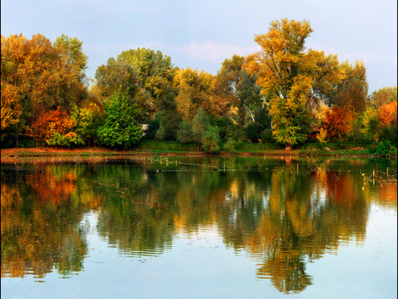 RICH AUTUMN - reflexion, trees, water, autumn