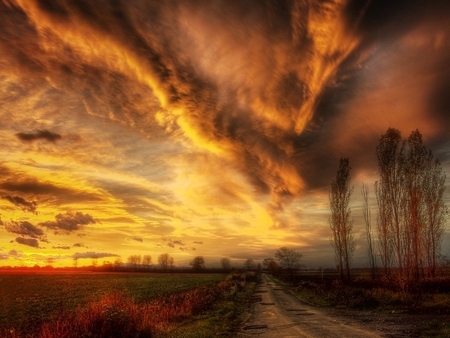 BEAUTY of SUNSET - path, grass, trees, sunset