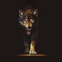 Wolf