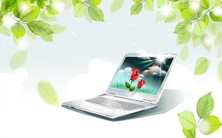 Laptop rose - roses, 3d