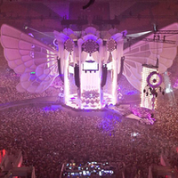 Sensation White 2009