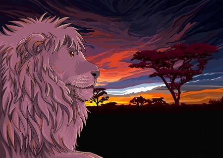 Sunset - tree, sunset, abstract, lion