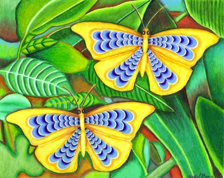 Twin Butteflies - butterfly, butterflies