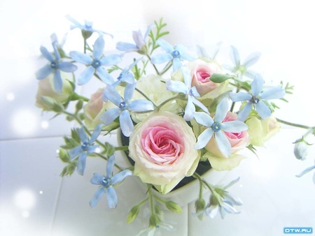 Rose and blue flowers - flowers, roses