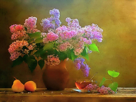 Soft lights - lilacs, flowers, still life, light