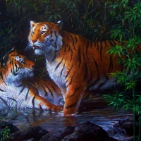 Tigers