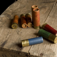 Shotgun Shells