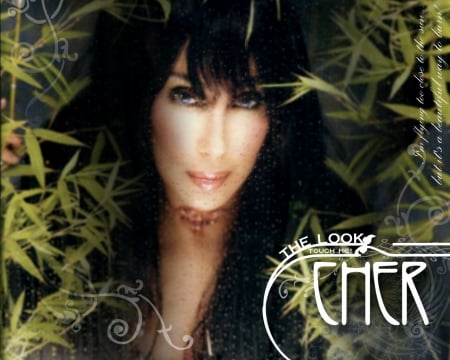 cher - icon, cher, beautiful, singer, actress