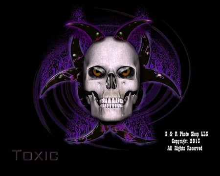 Toxic - skulls, skull art, bio hazard, cool pictures