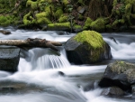 Waterfall in A River