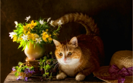 Still life - hat, cat, animals, flowers, basket, still life