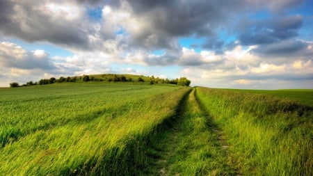 tracks through wavy green fields - hill, fields, tracks, clouds