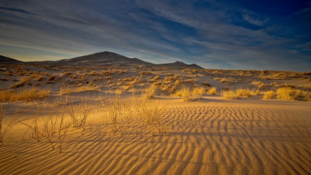 wonderful desert landscape - weeds, mountain, clouds, ripples, desert, sand