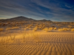 wonderful desert landscape