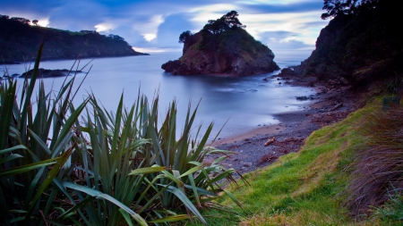 wondrous cove - cove, clouds, shore, rock, plants