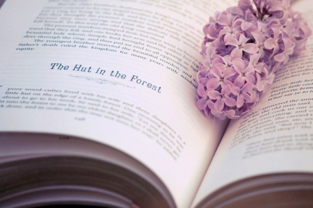 The Hut in the Forest - flower, book, nature, soft