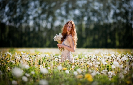 Soft Girl - flowers, girl, field, soft