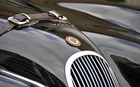 1954 Jaguar XK120 - jaguar, cars, bonnet, fast, 1954