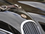 1954 Jaguar XK120