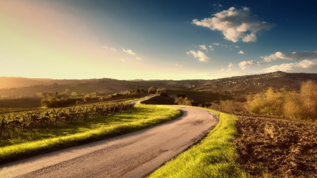 Road - sky, nature, road, grass