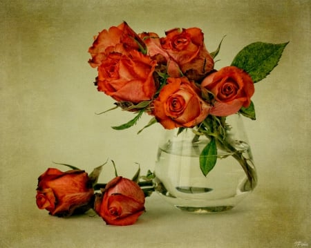 red roses - flowers, red, still life, roses