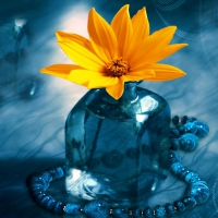 FLOWER & ICE