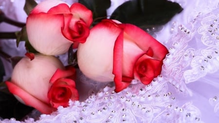 PURPLE LACE & REDDISH ROSES - purle, red, pink, flowers, lace, romance, valentines, roses, beautiful flowers, lovely, romantic