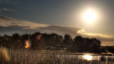 gorgeous sun rays above a lake - clouds, sun rays, trees, lake, reed