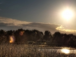 gorgeous sun rays above a lake