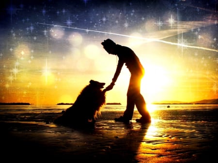 LOYAL TOUCH - silhouette, paw, sunset, man, dog