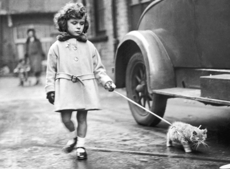 Oldie and Goldie. - girl, picture, cat, old