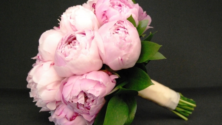 Especially in Mayâ™¥ - love, fresh, light, bloom, design, may, peonies, forever, floral, pink