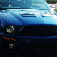 Shelby Cobra GT 500