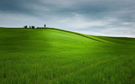 green hills - hills, trees, clouds, grass