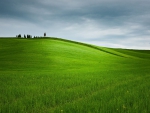 green hills