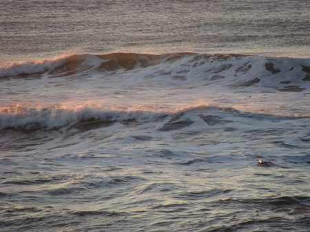 sunrise on the waves - sun-kissed waves, low tide at sunrise, sunrise, gentle glow